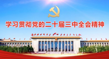 學習貫徹黨的二十屆三中全會精神